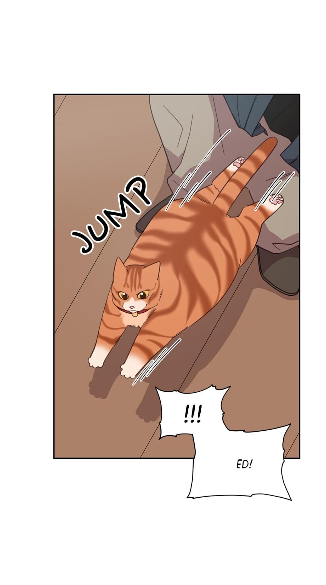 An animal hospital in the border area chapter 8 - page 54