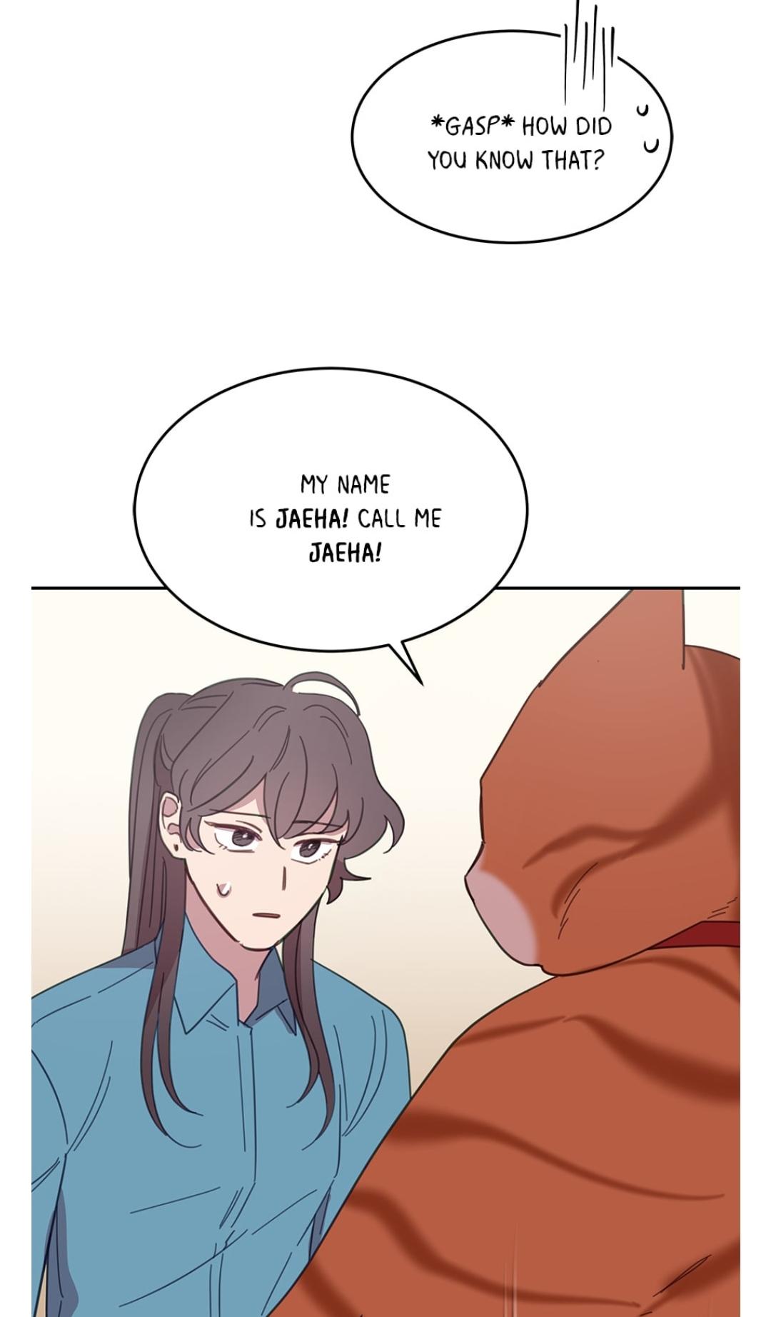 An animal hospital in the border area chapter 7 - page 41