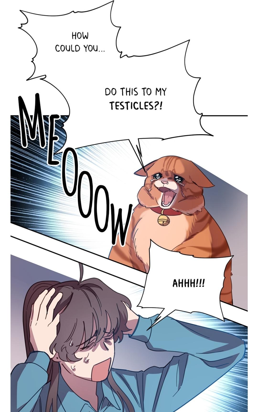 An animal hospital in the border area chapter 7 - page 54