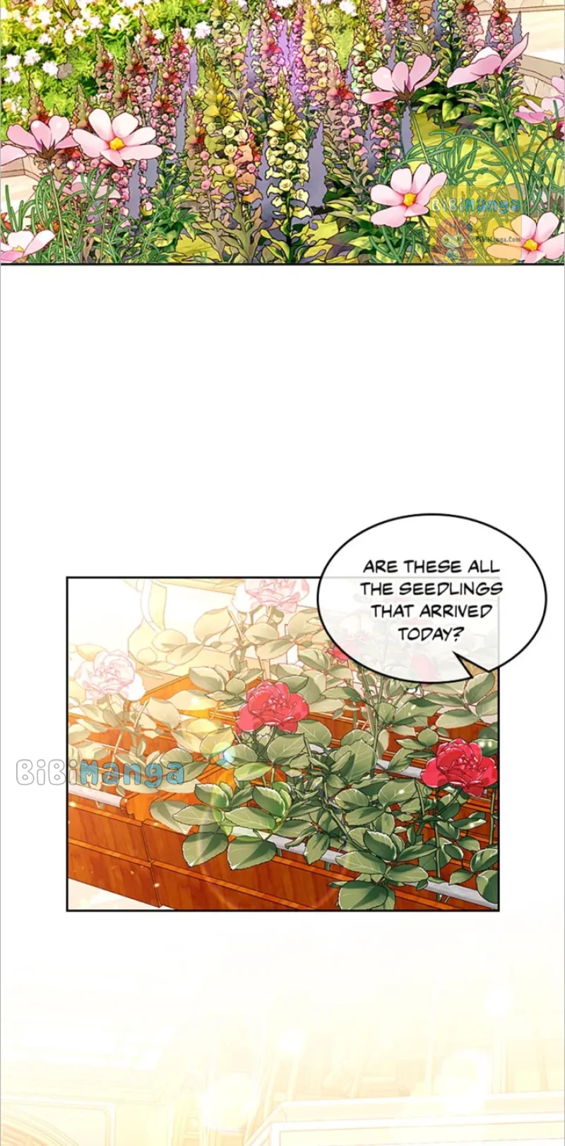 The Duchess’s Secret Dressing Room Chapter 40 - page 2