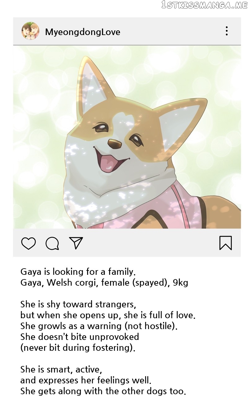 The Dog Diaries Chapter 106 - page 35