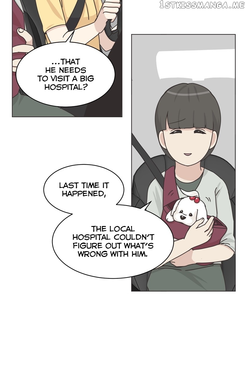 The Dog Diaries Chapter 106 - page 60