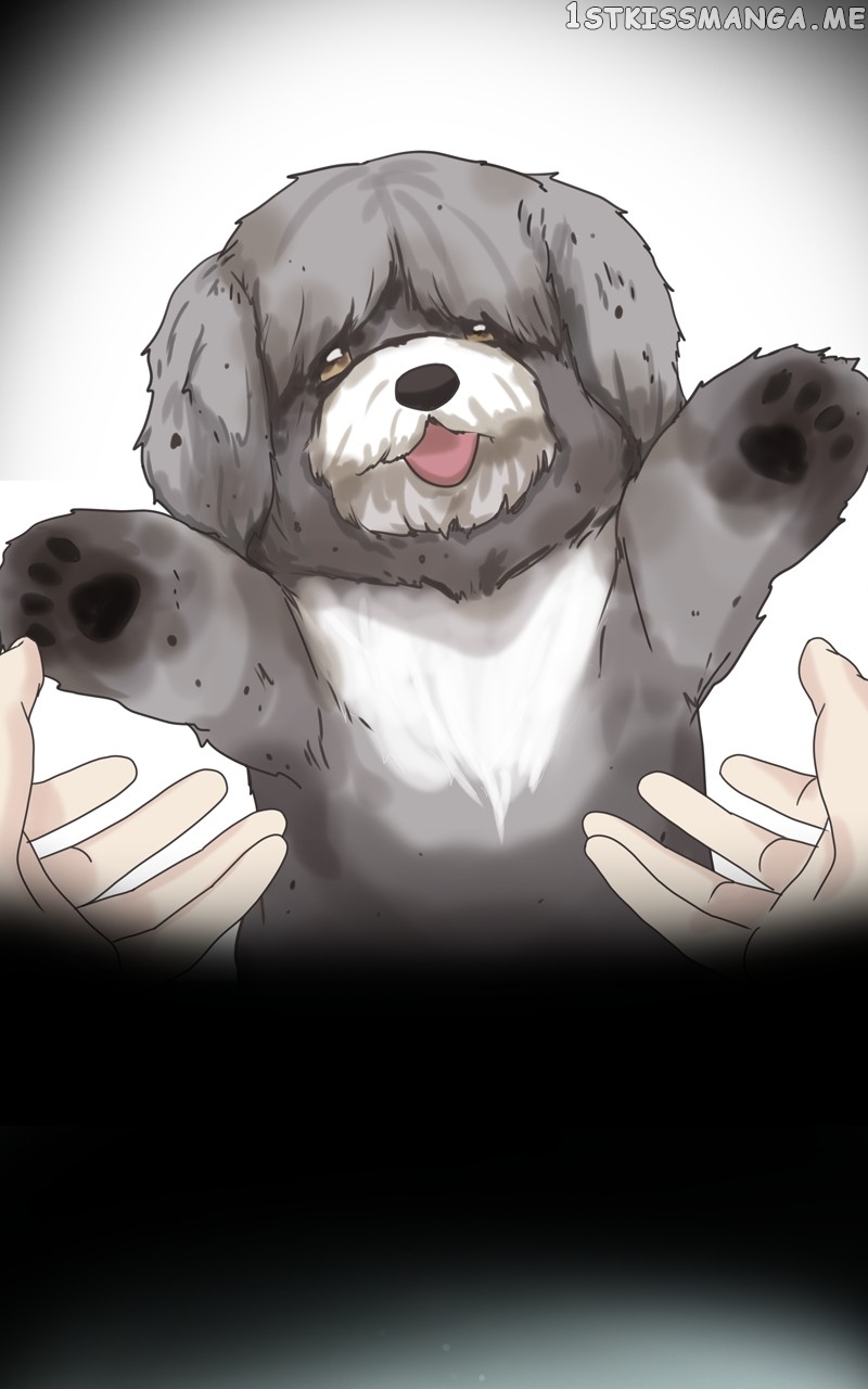The Dog Diaries Chapter 105 - page 50