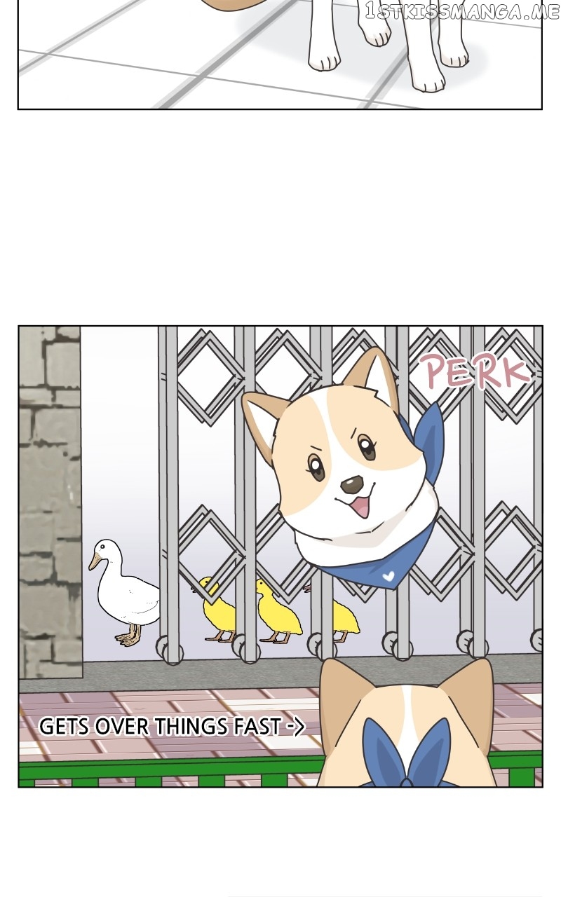 The Dog Diaries Chapter 104 - page 15