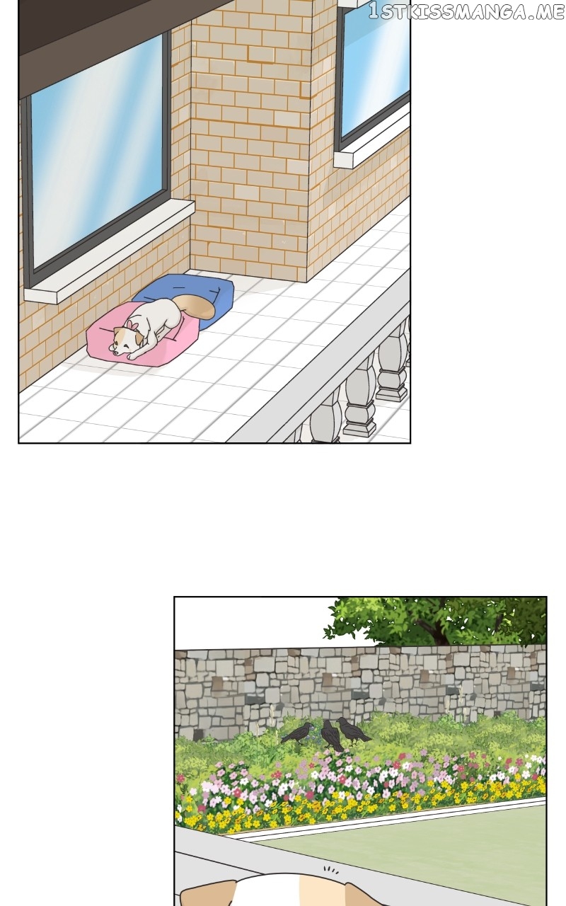 The Dog Diaries Chapter 104 - page 18