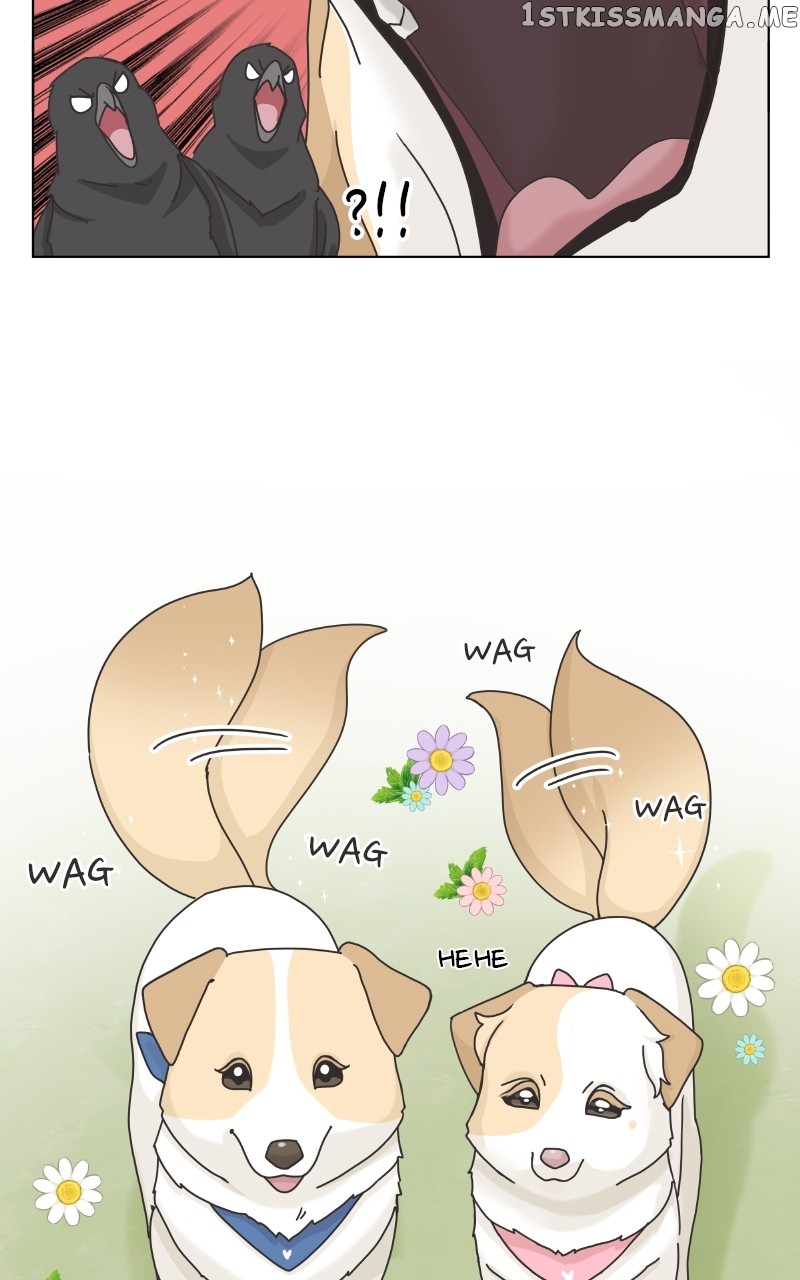 The Dog Diaries Chapter 104 - page 3