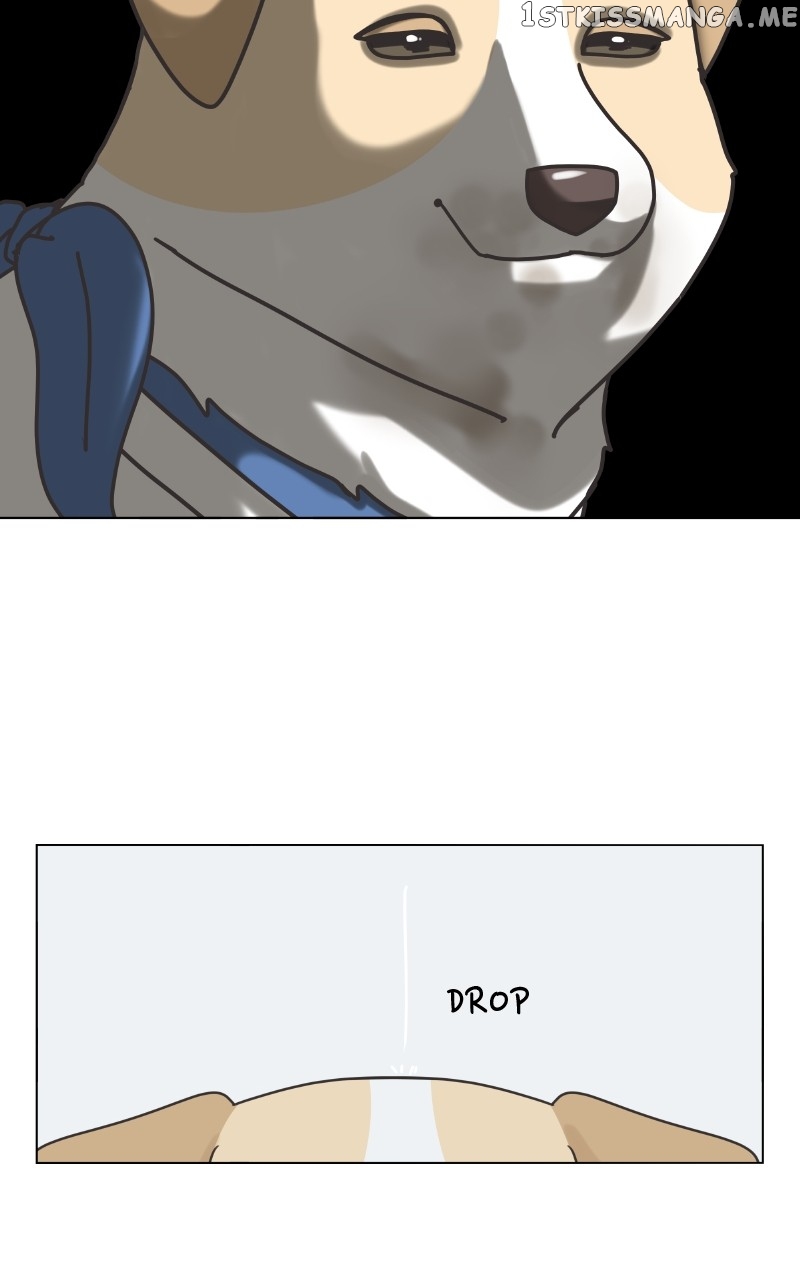 The Dog Diaries Chapter 104 - page 31