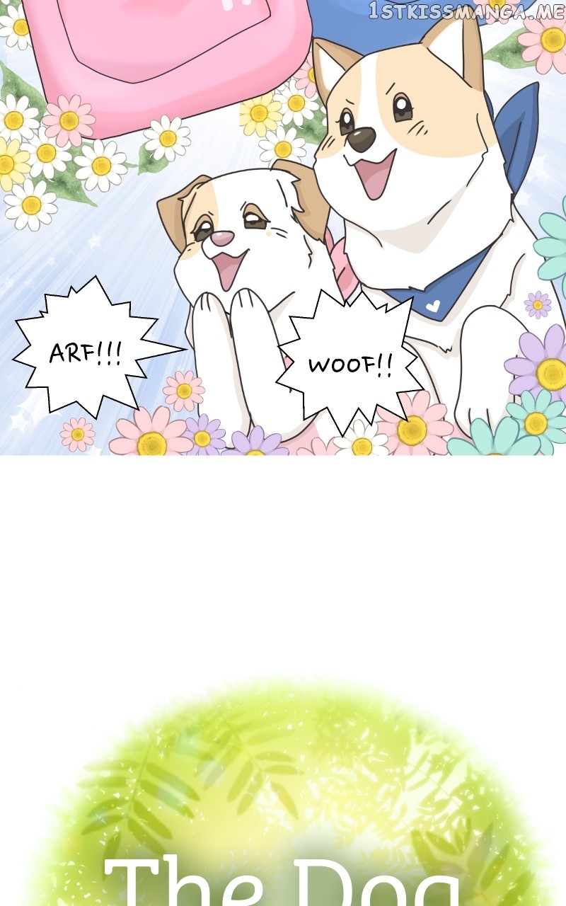 The Dog Diaries Chapter 104 - page 7