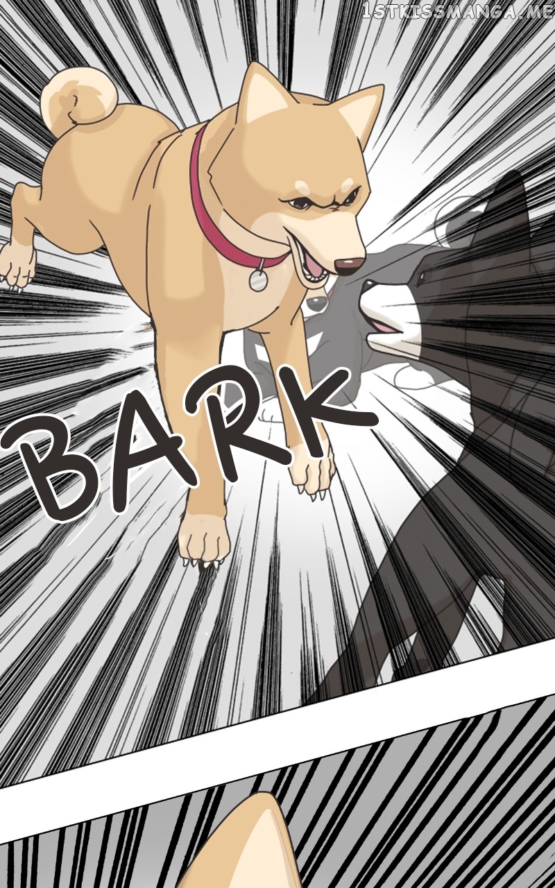 The Dog Diaries Chapter 101 - page 31