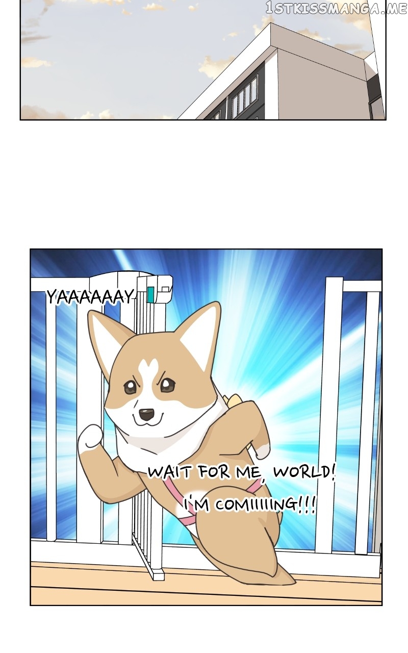 The Dog Diaries Chapter 100 - page 51