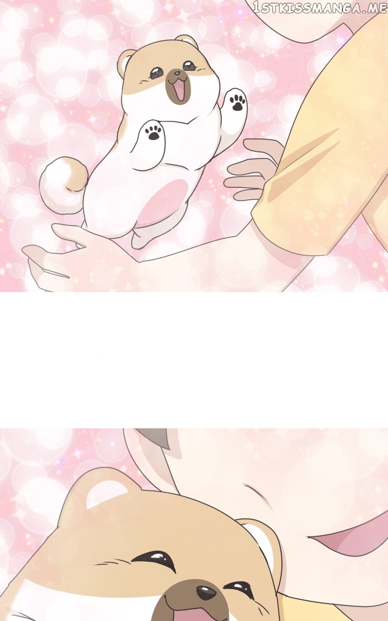 The Dog Diaries Chapter 97 - page 44