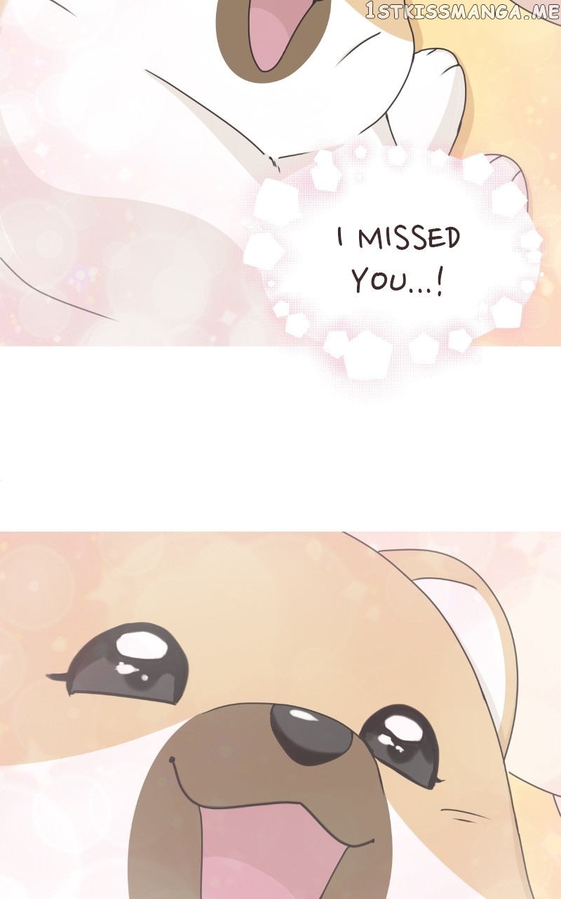 The Dog Diaries Chapter 97 - page 45