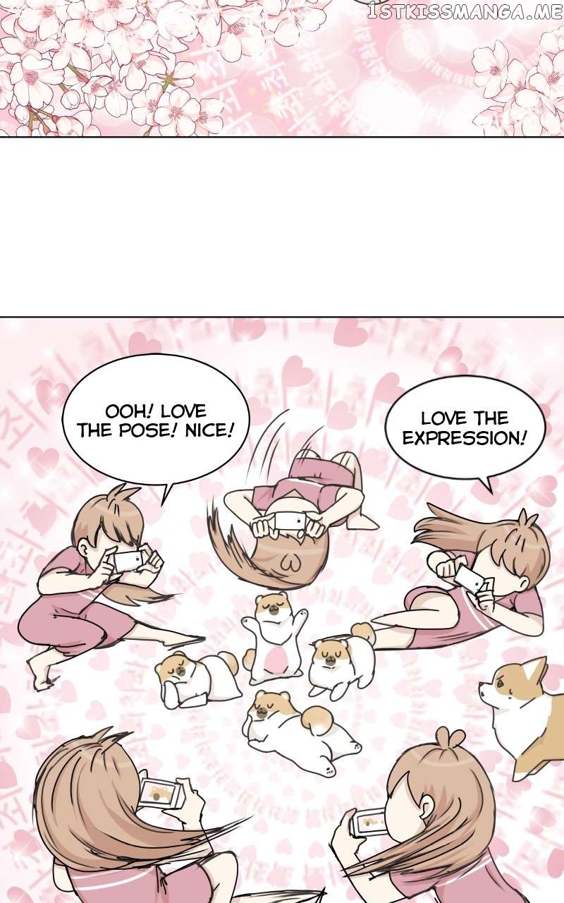 The Dog Diaries Chapter 97 - page 59