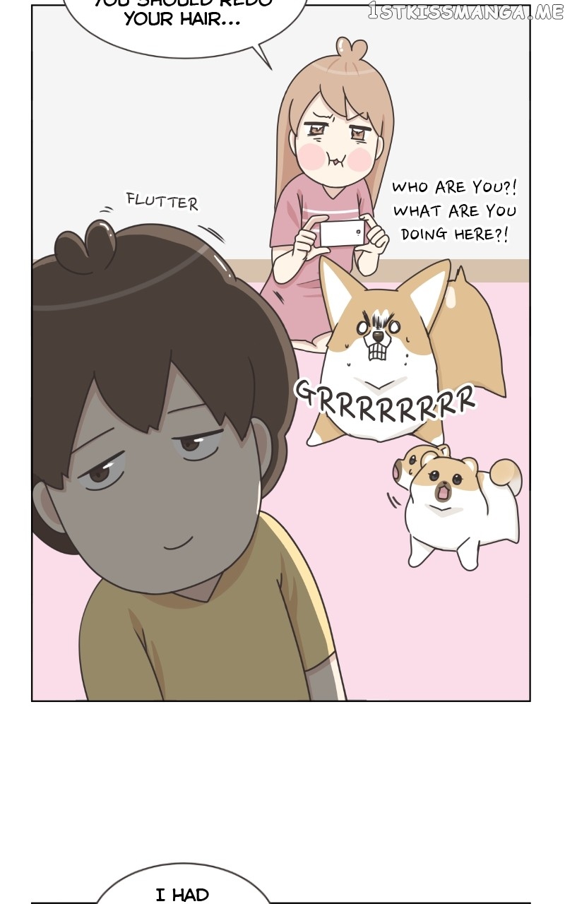 The Dog Diaries Chapter 97 - page 62