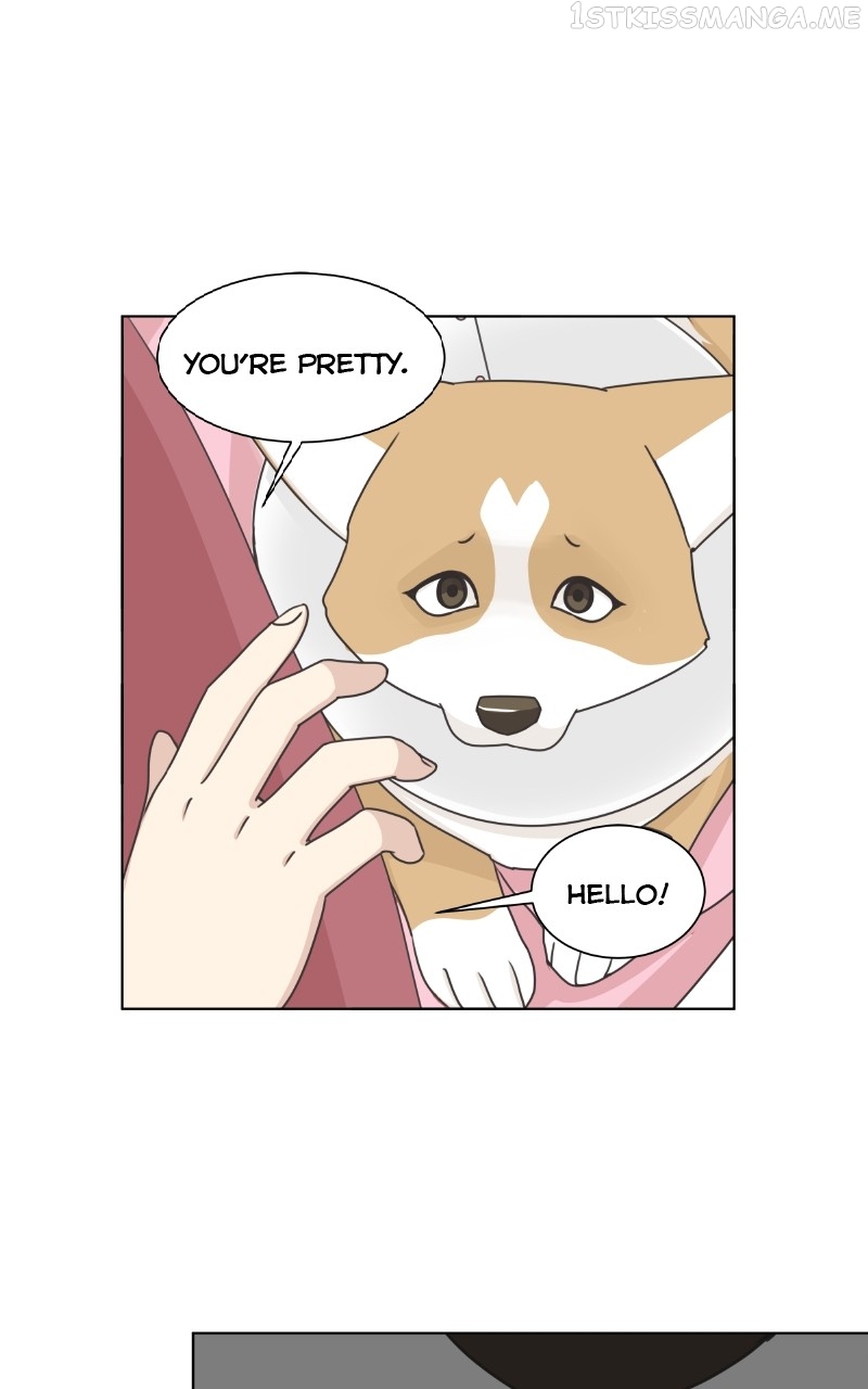 The Dog Diaries Chapter 95 - page 10