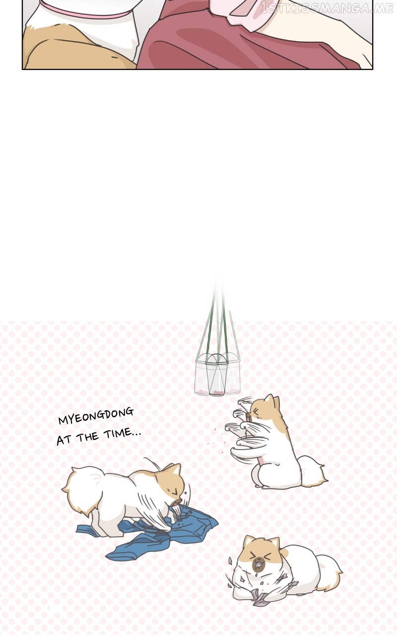 The Dog Diaries Chapter 95 - page 26
