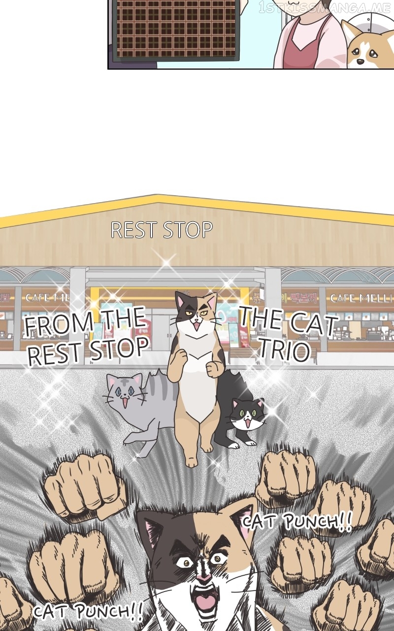The Dog Diaries Chapter 95 - page 28