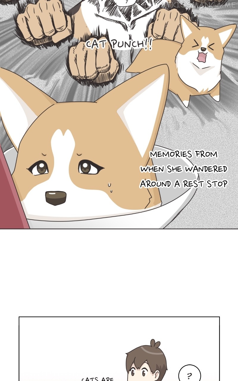 The Dog Diaries Chapter 95 - page 29