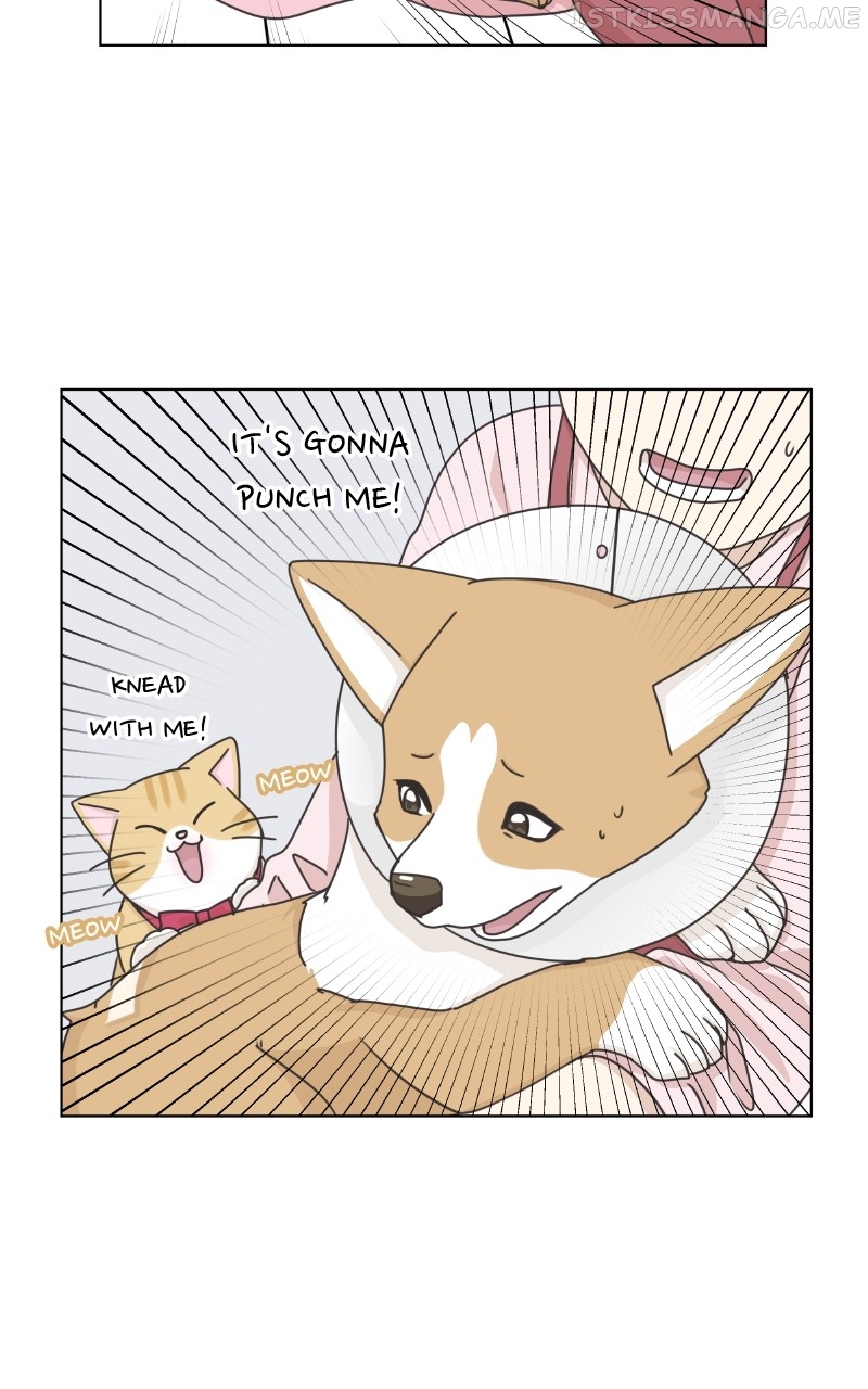 The Dog Diaries Chapter 95 - page 36