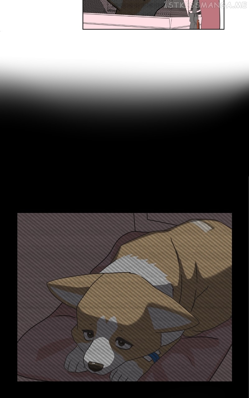The Dog Diaries Chapter 95 - page 42