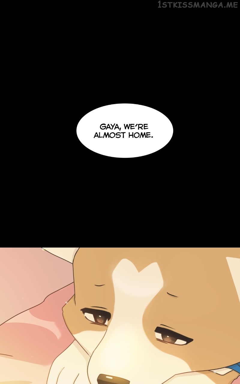 The Dog Diaries Chapter 95 - page 47