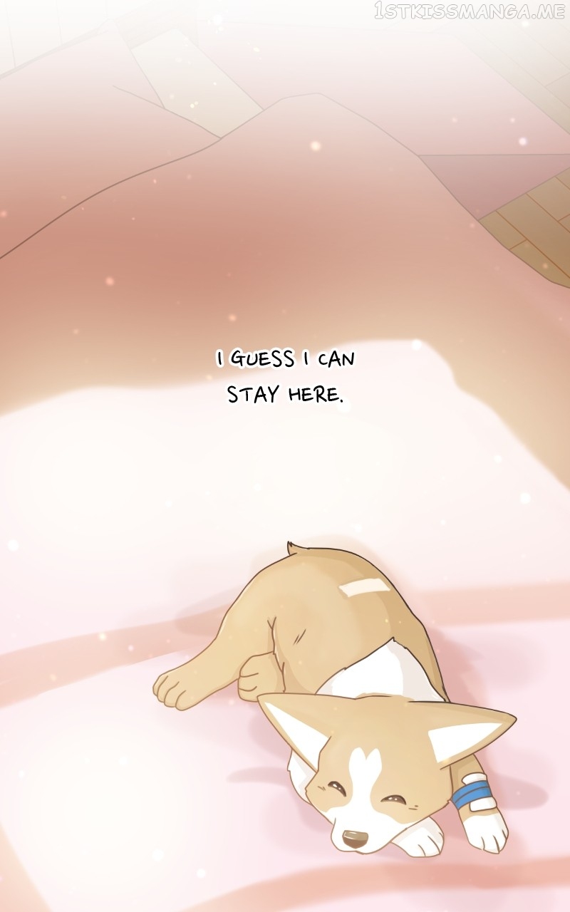 The Dog Diaries Chapter 95 - page 52