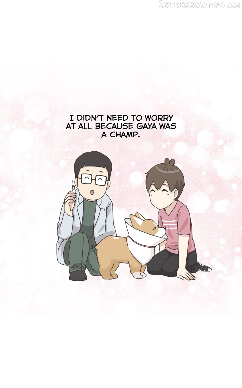 The Dog Diaries Chapter 95 - page 62
