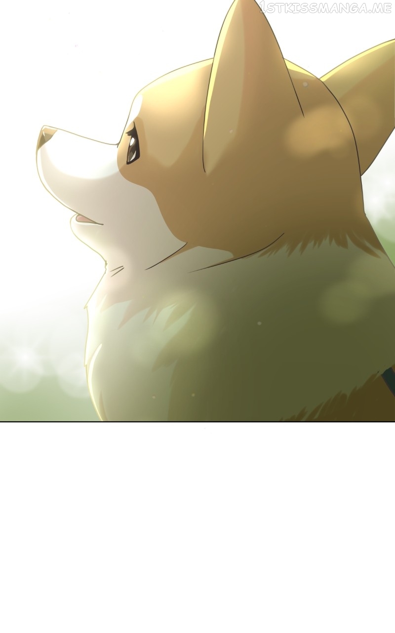 The Dog Diaries Chapter 95 - page 67