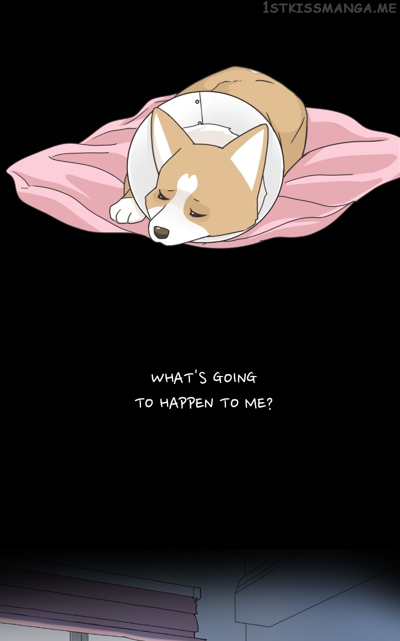 The Dog Diaries Chapter 94 - page 47