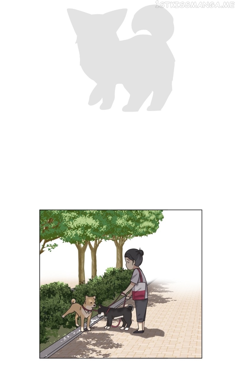 The Dog Diaries Chapter 93 - page 10