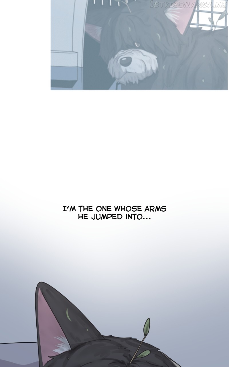 The Dog Diaries Chapter 93 - page 35