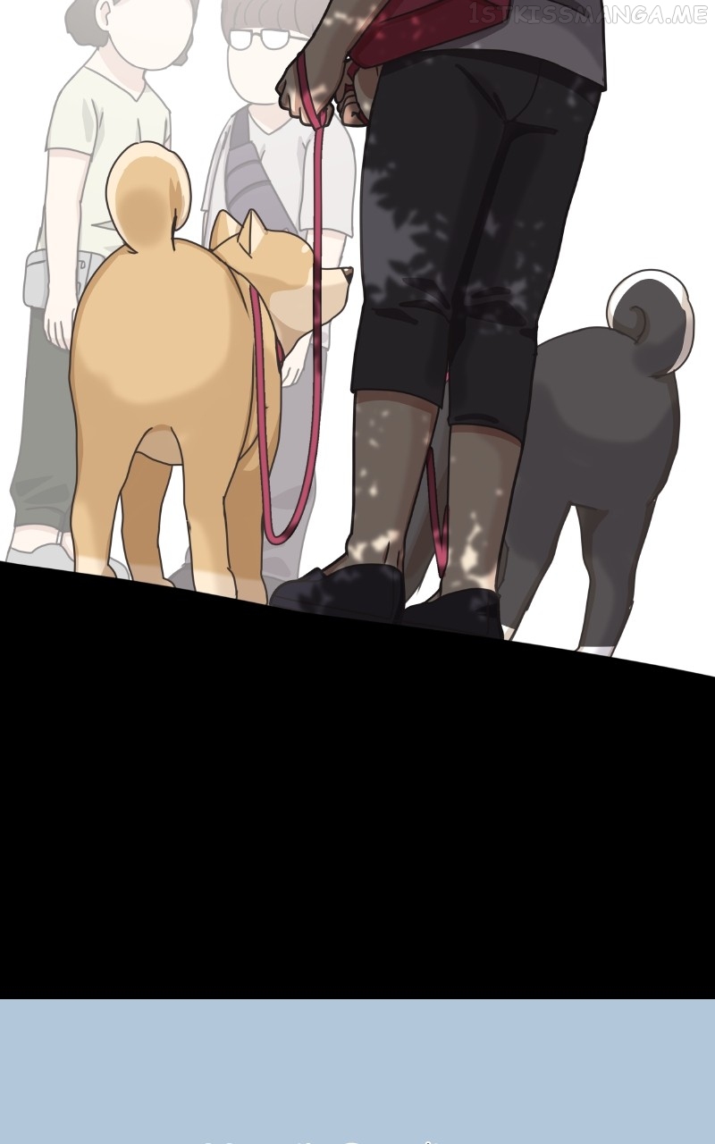 The Dog Diaries Chapter 93 - page 39