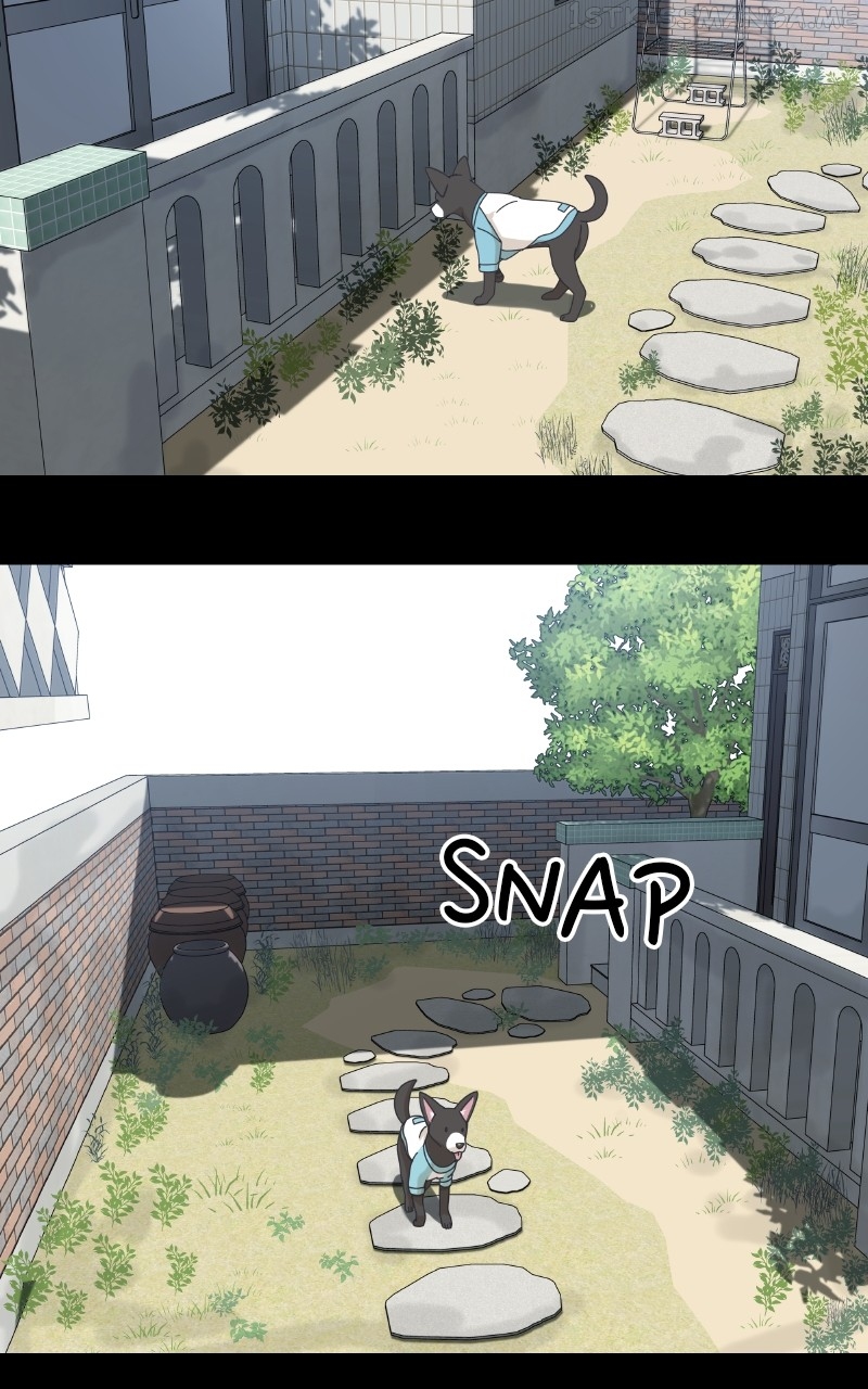 The Dog Diaries Chapter 93 - page 51