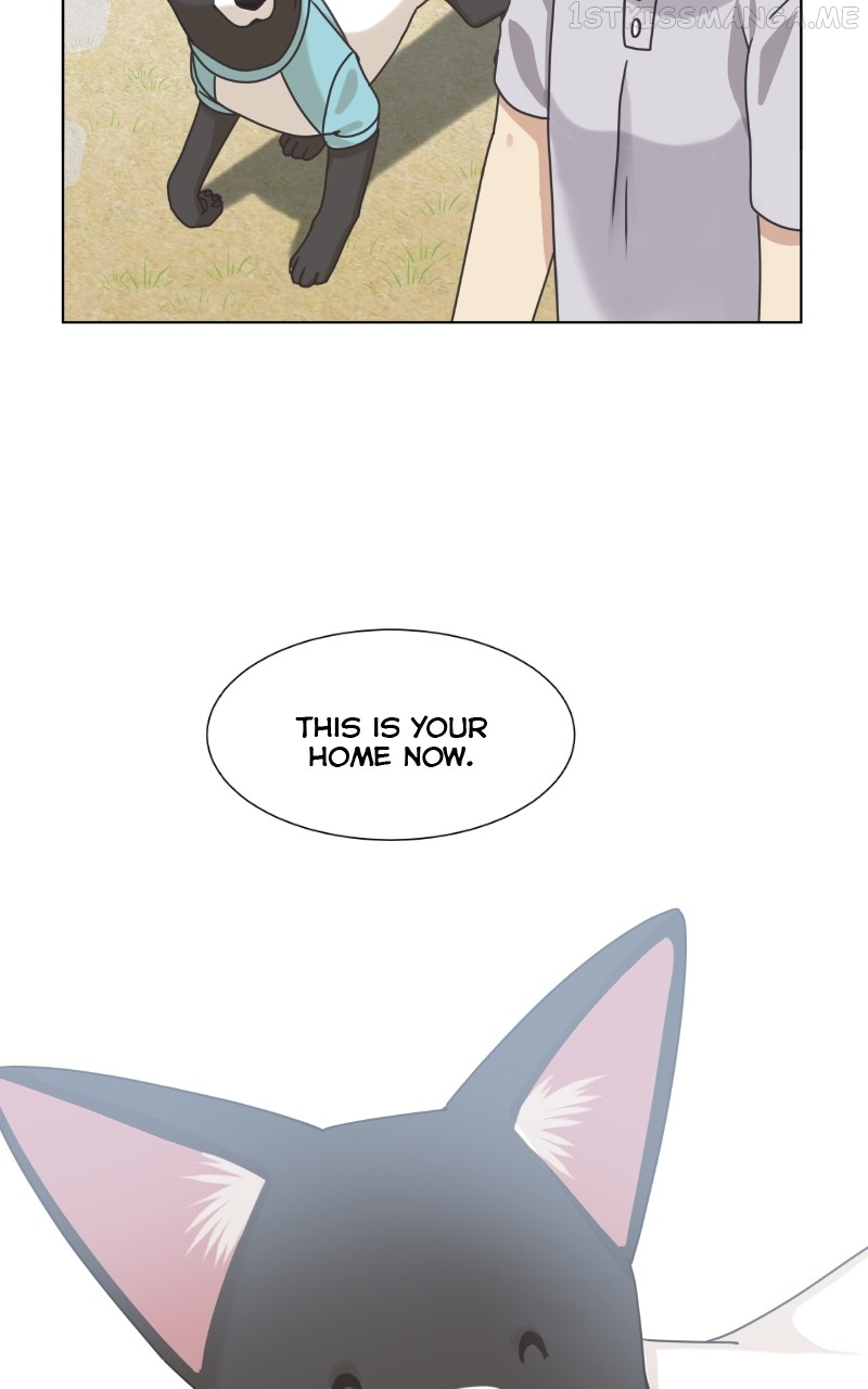 The Dog Diaries Chapter 93 - page 61