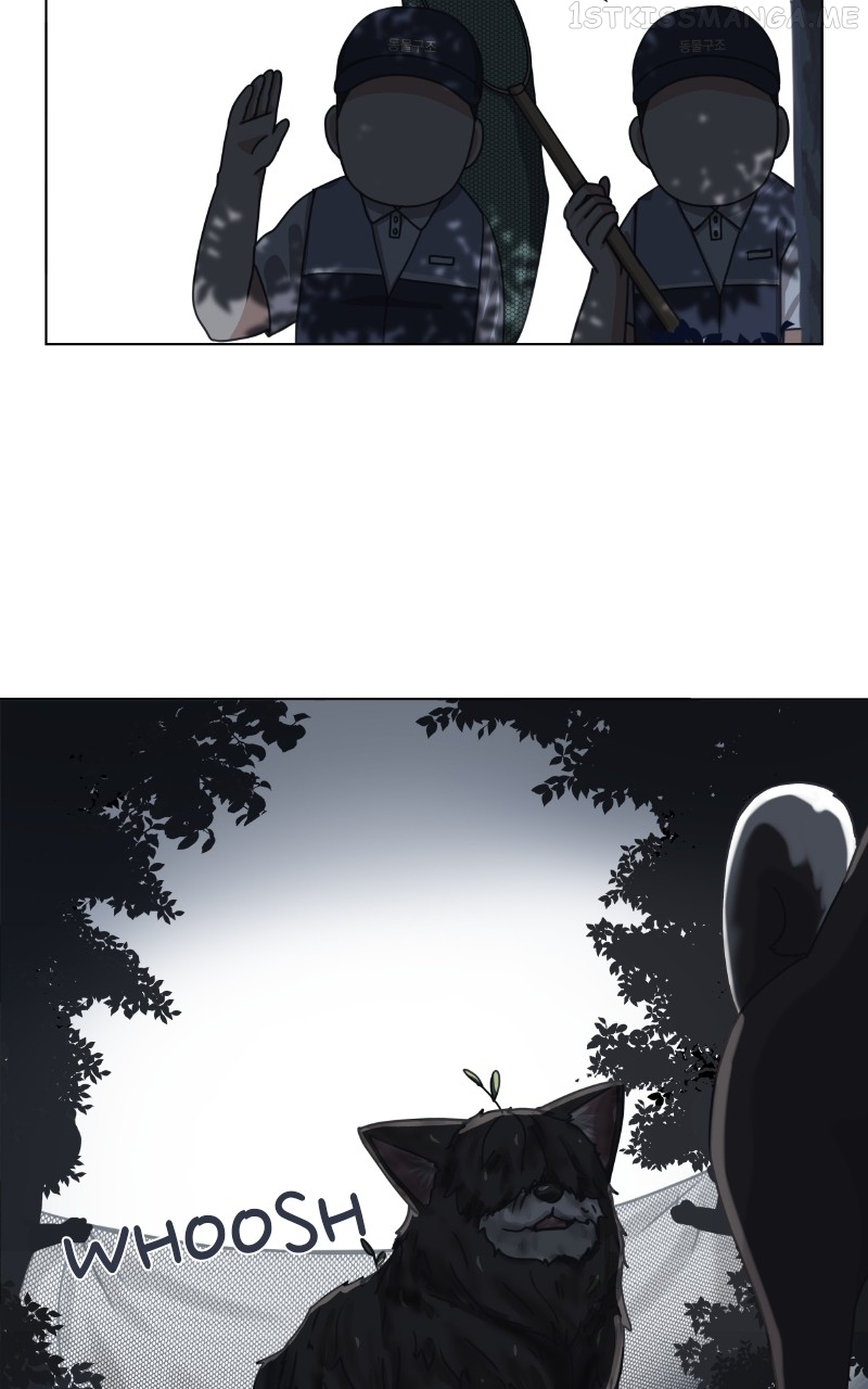 The Dog Diaries Chapter 92 - page 18