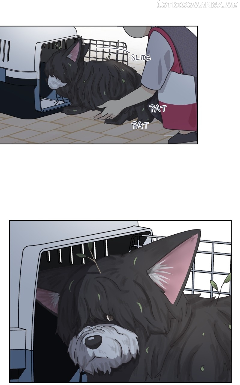 The Dog Diaries Chapter 92 - page 35