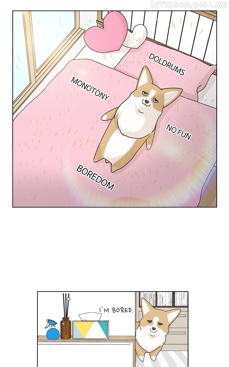 The Dog Diaries Chapter 92 - page 50
