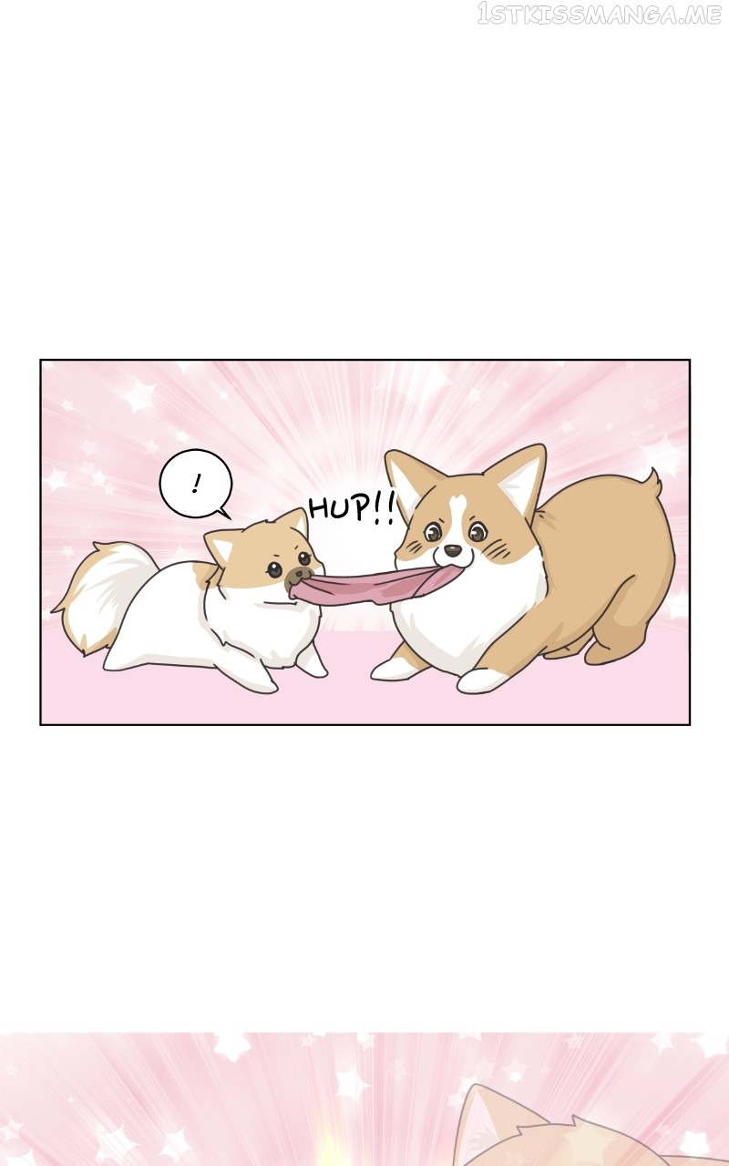 The Dog Diaries Chapter 92 - page 52