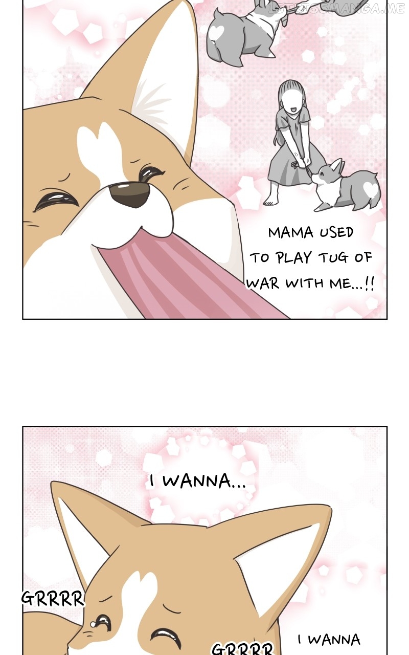 The Dog Diaries Chapter 92 - page 54
