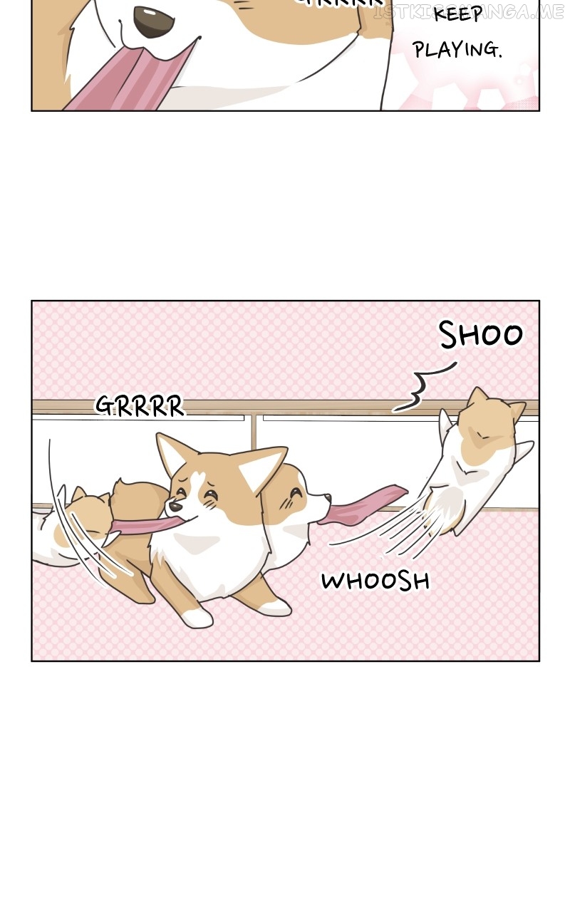 The Dog Diaries Chapter 92 - page 55
