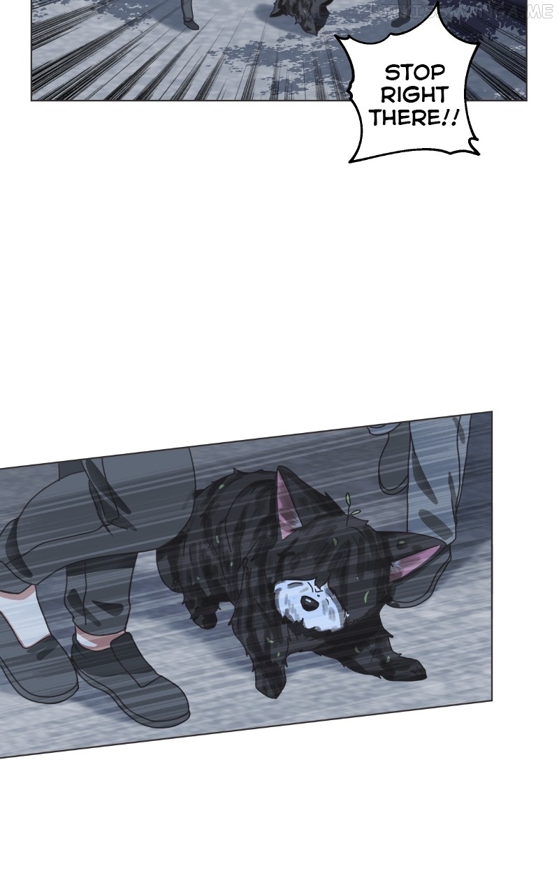 The Dog Diaries Chapter 91 - page 20