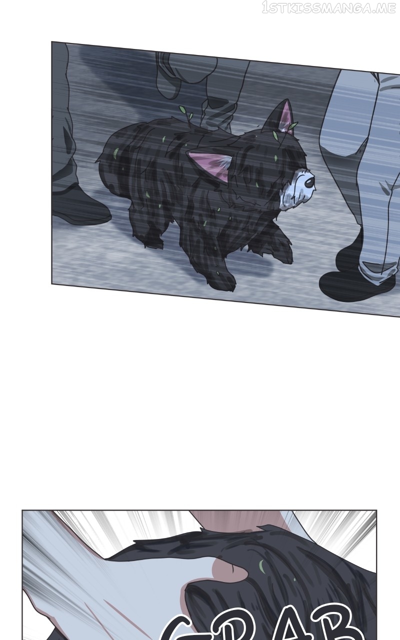 The Dog Diaries Chapter 91 - page 21