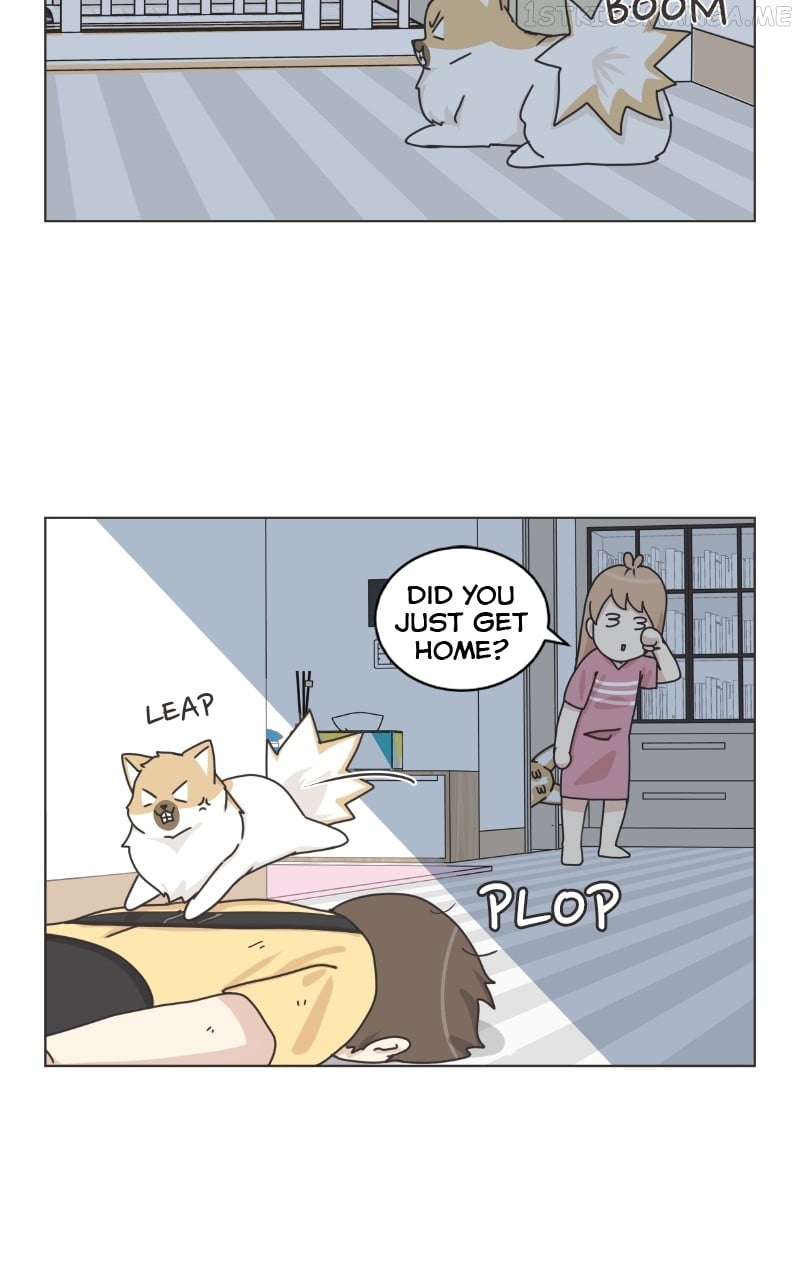 The Dog Diaries Chapter 91 - page 27