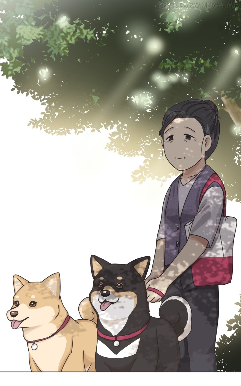 The Dog Diaries Chapter 91 - page 35