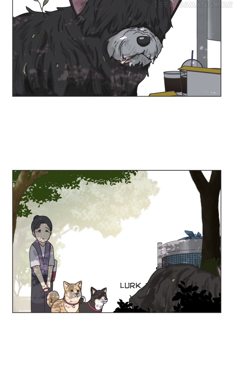 The Dog Diaries Chapter 91 - page 37