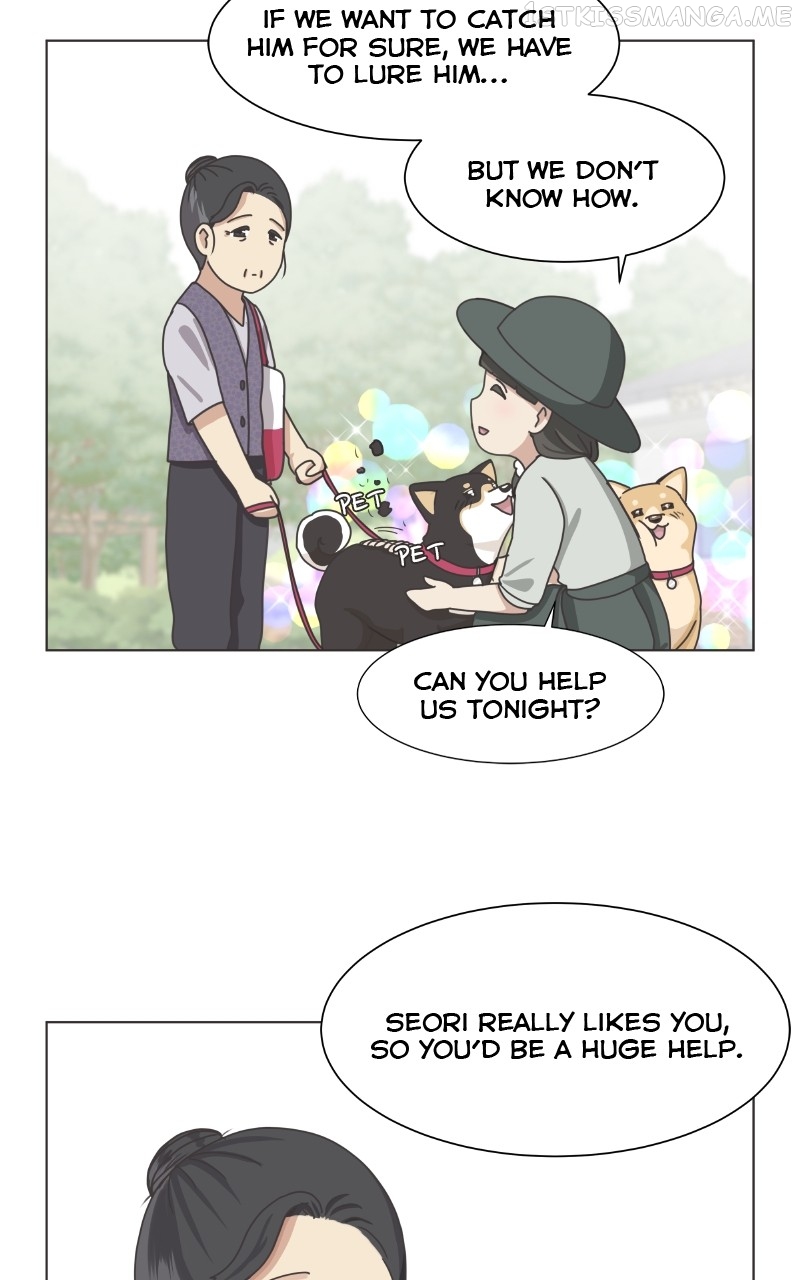 The Dog Diaries Chapter 91 - page 43