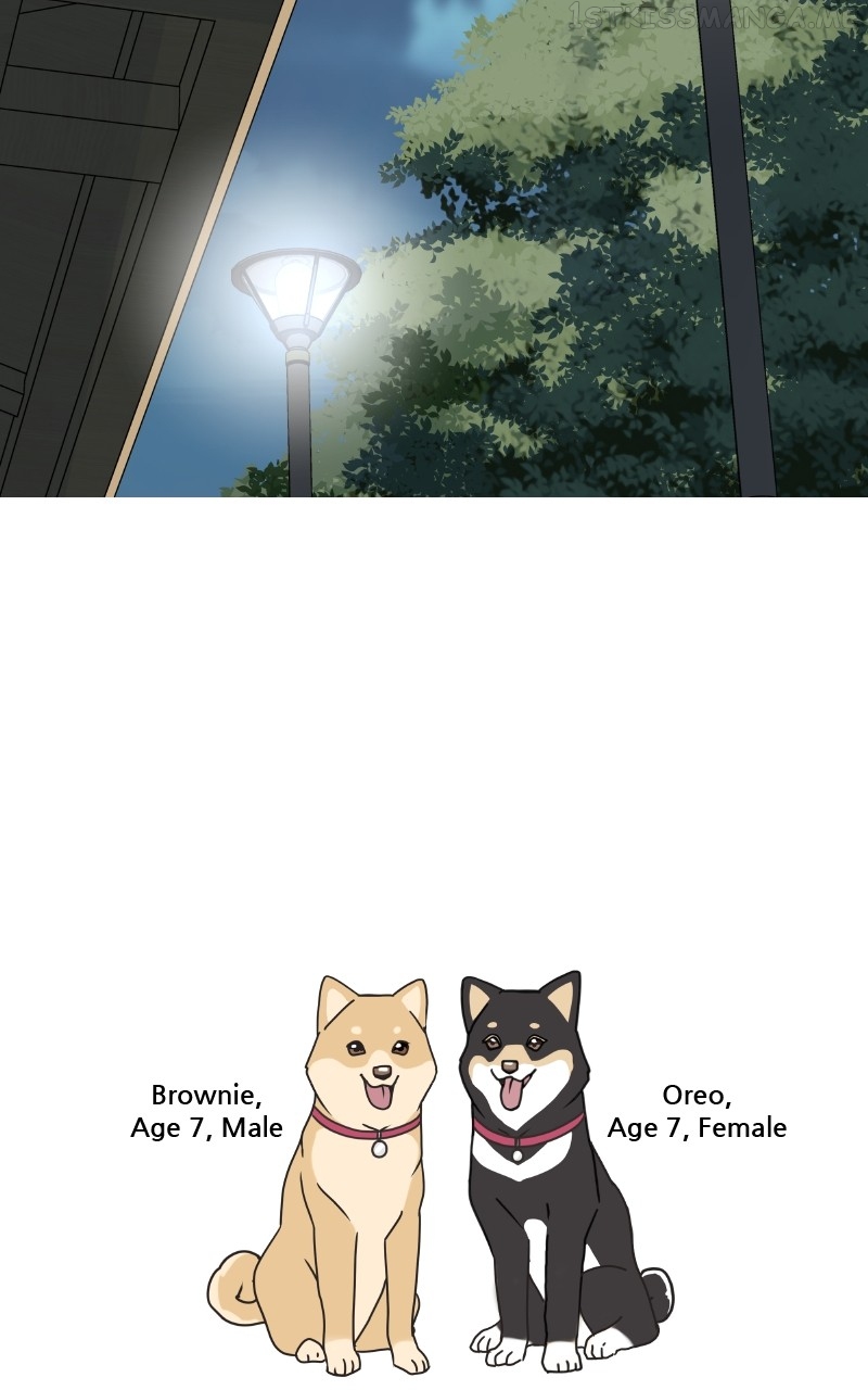 The Dog Diaries Chapter 91 - page 56
