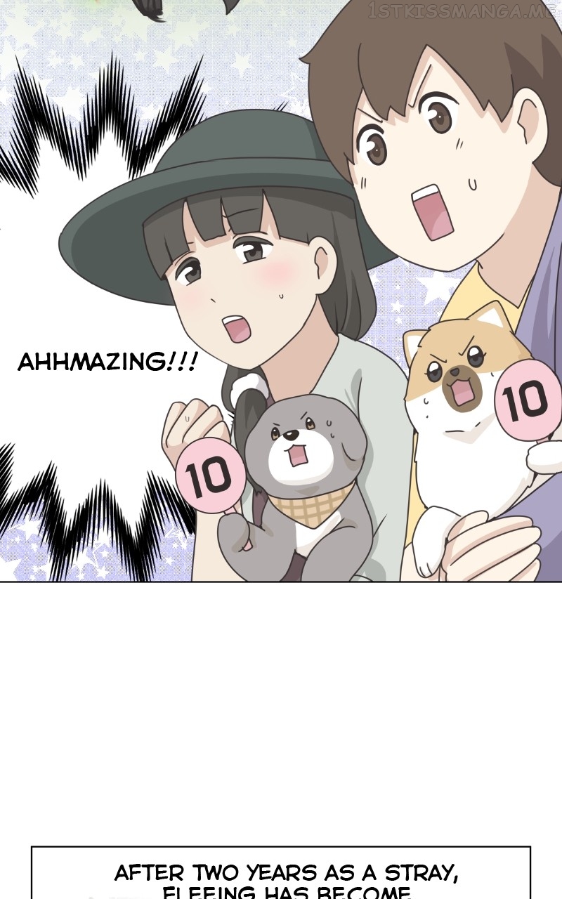 The Dog Diaries Chapter 90 - page 19