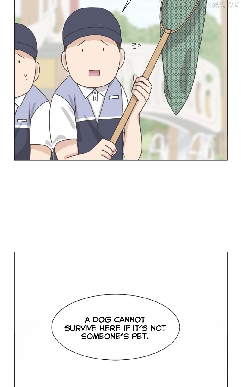 The Dog Diaries Chapter 90 - page 23