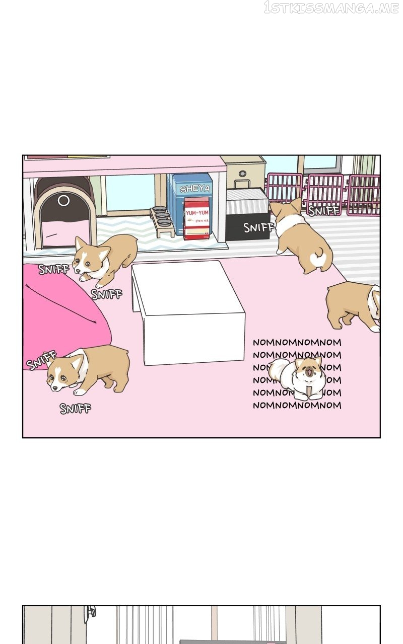 The Dog Diaries Chapter 89 - page 1
